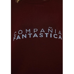 Compañía Fantástica_ Jersey "Compañía Fantástica" - Imagen 2